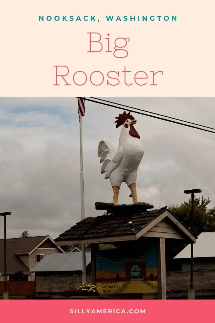 Cock-A-Doodle-Doo! On my road trip from Seattle to Hyder, Alaska we stumbled upon this Big Rooster in Nooksack, Washington. The weird roadside attraction made for a fun Washington road trip stop and a good photography op.
#WashingtonRoadsideAttractions #WashingtonRoadsideAttraction #RoadsideAttractions #RoadsideAttraction #RoadTrip #WashingtonRoadTrip #WashingtonBucketList #WeirdRoadsideAttractions #RoadTripStops