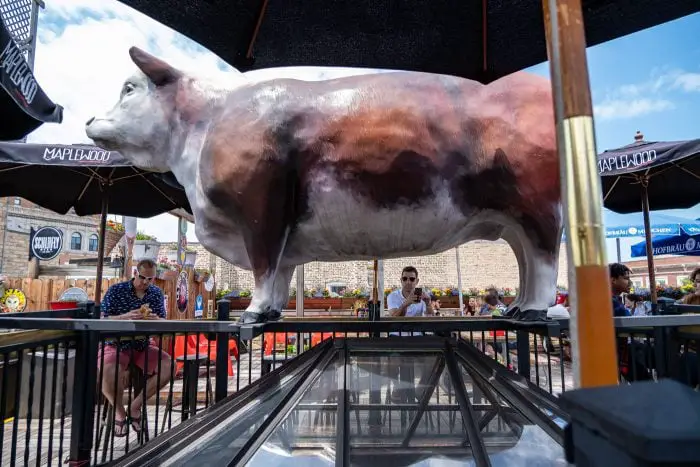 Gene's Sausage Shop rooftop cow. Giant cow statue in Lincoln Square, Chicago, Illinois.