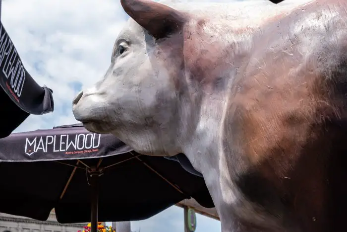 Gene's Sausage Shop rooftop cow. Giant cow statue in Lincoln Square, Chicago, Illinois.