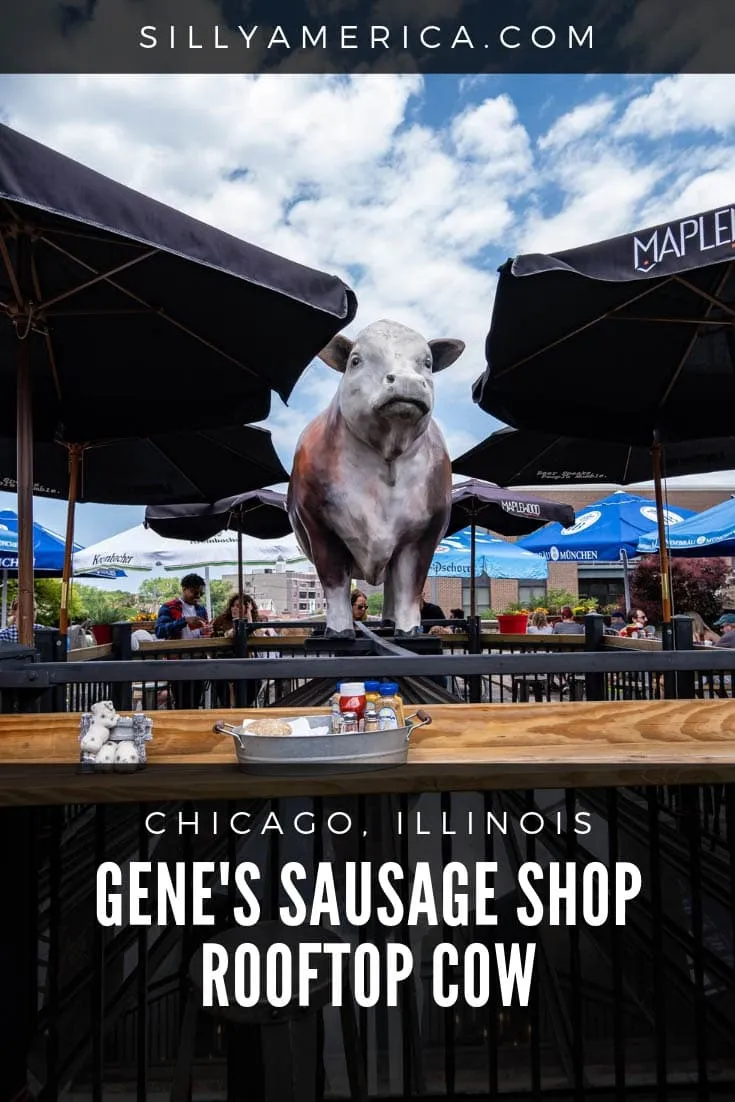 Meet the giant cow statue at the Gene's Sausage Shop and Delicatessen rooftop beer and wine garden in the Lincoln Square neighborhood of Chicago, Illinois. Stop by for lunch in Chicago and stay for the weird roadside attraction. A fun, bucket list worthy, stop for an Illinois road trip or weekend getaway in Chicago.
#IllinoisRoadsideAttractions #IllinoisRoadsideAttraction #RoadsideAttractions #RoadsideAttraction #RoadTrip #WeirdRoadsideAttractions #RoadTripStops #ChicagoTravel
