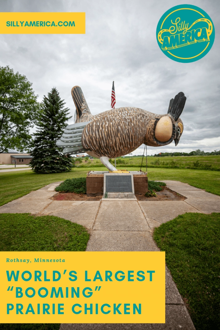 Meet the World's Largest "Booming" Prairie Chicken in Rothsay, Minnesota. This 9,000 pound bucket list worthy big bird statue is famous among Minnesota roadside attractions. A fun stop for travel photography on a Minnesota road trip with kids or summer vacation with family.
#MinnesotaRoadsideAttractions #RoadsideAttractions #RoadsideAttraction #RoadTrip #MinnesotaRoadTrip #MinnesotaRoadTripBucketLists #MinnesotaBucketList #MinnesotaRoadTripIdeas #MinnesotaRoadTripWithKids