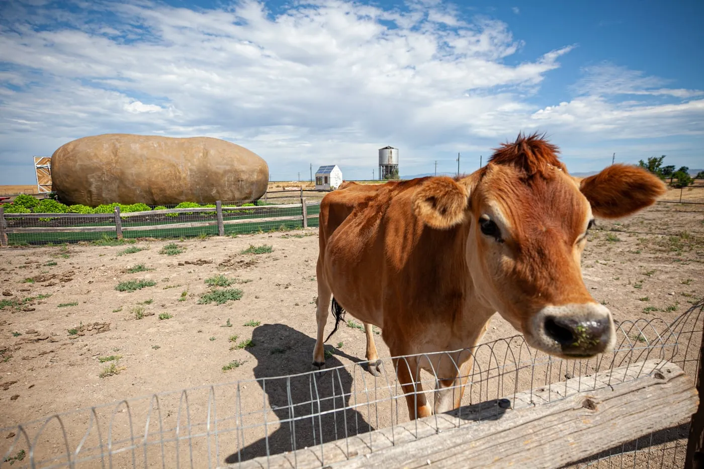 Big Idaho Potato Hotel AirBNB in Boise, Idaho - an AirBNB made from a giant potato | Idaho Roadside Attractions  and Weird Hotels