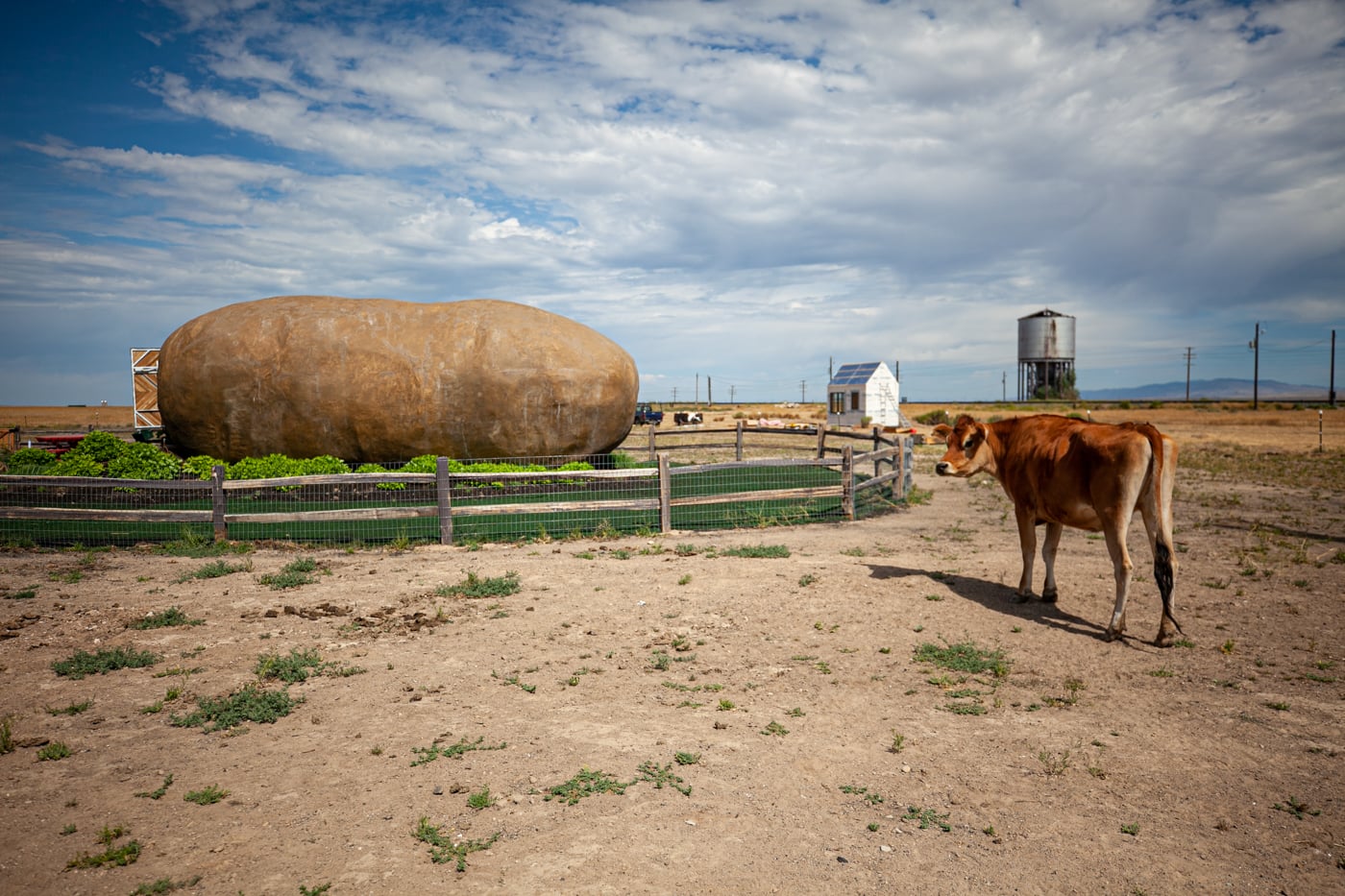 Big Idaho Potato Hotel AirBNB in Boise, Idaho - an AirBNB made from a giant potato | Idaho Roadside Attractions and Weird Hotels