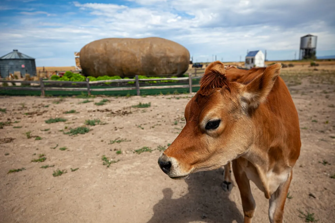 Big Idaho Potato Hotel AirBNB in Boise, Idaho - an AirBNB made from a giant potato | Idaho Roadside Attractions  and Weird Hotels