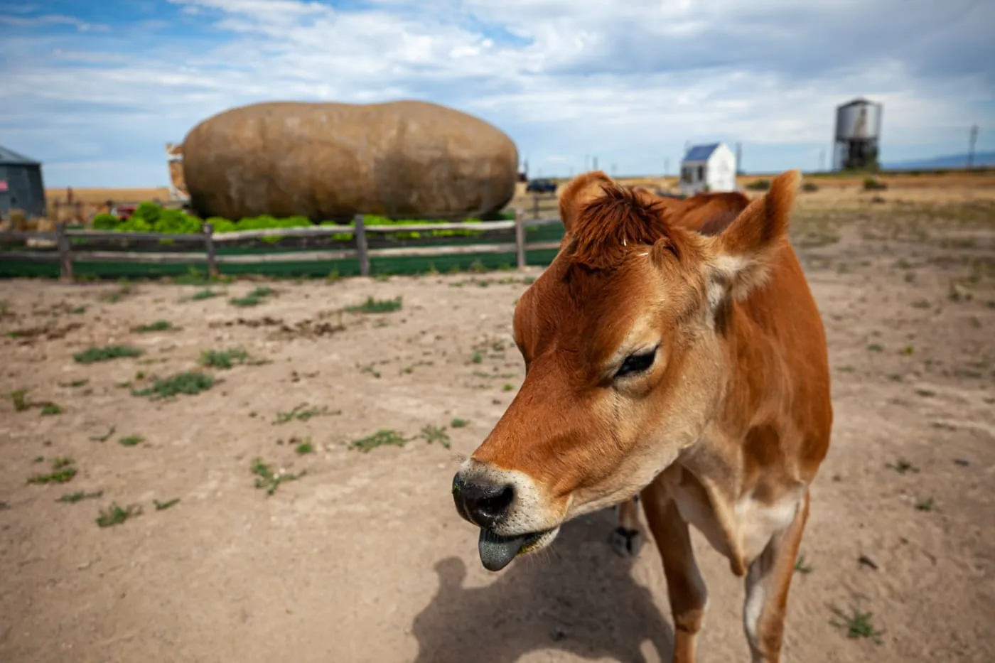 Big Idaho Potato Hotel AirBNB in Boise, Idaho - an AirBNB made from a giant potato | Idaho Roadside Attractions  and Weird Hotels