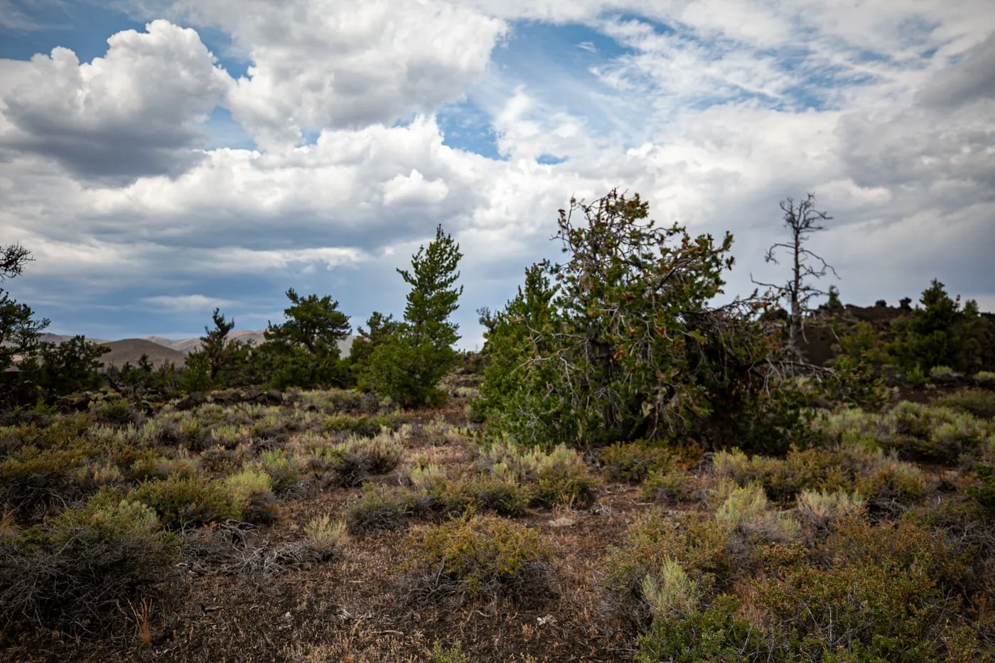 Craters of the Moon National Monument & Preserve in Idaho | Idaho Road Trip Stops