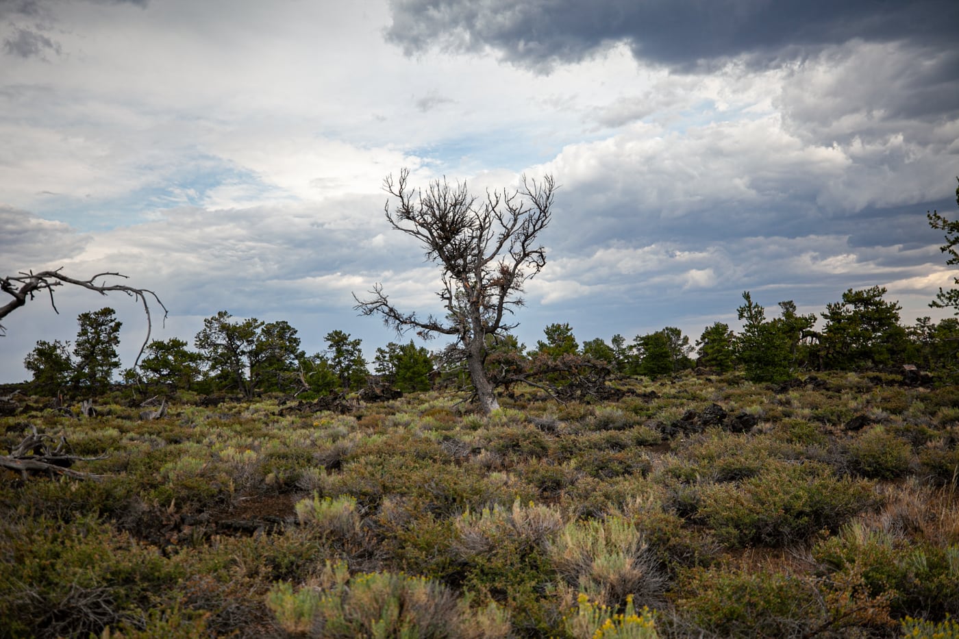 Craters of the Moon National Monument & Preserve in Idaho | Idaho Road Trip Stops