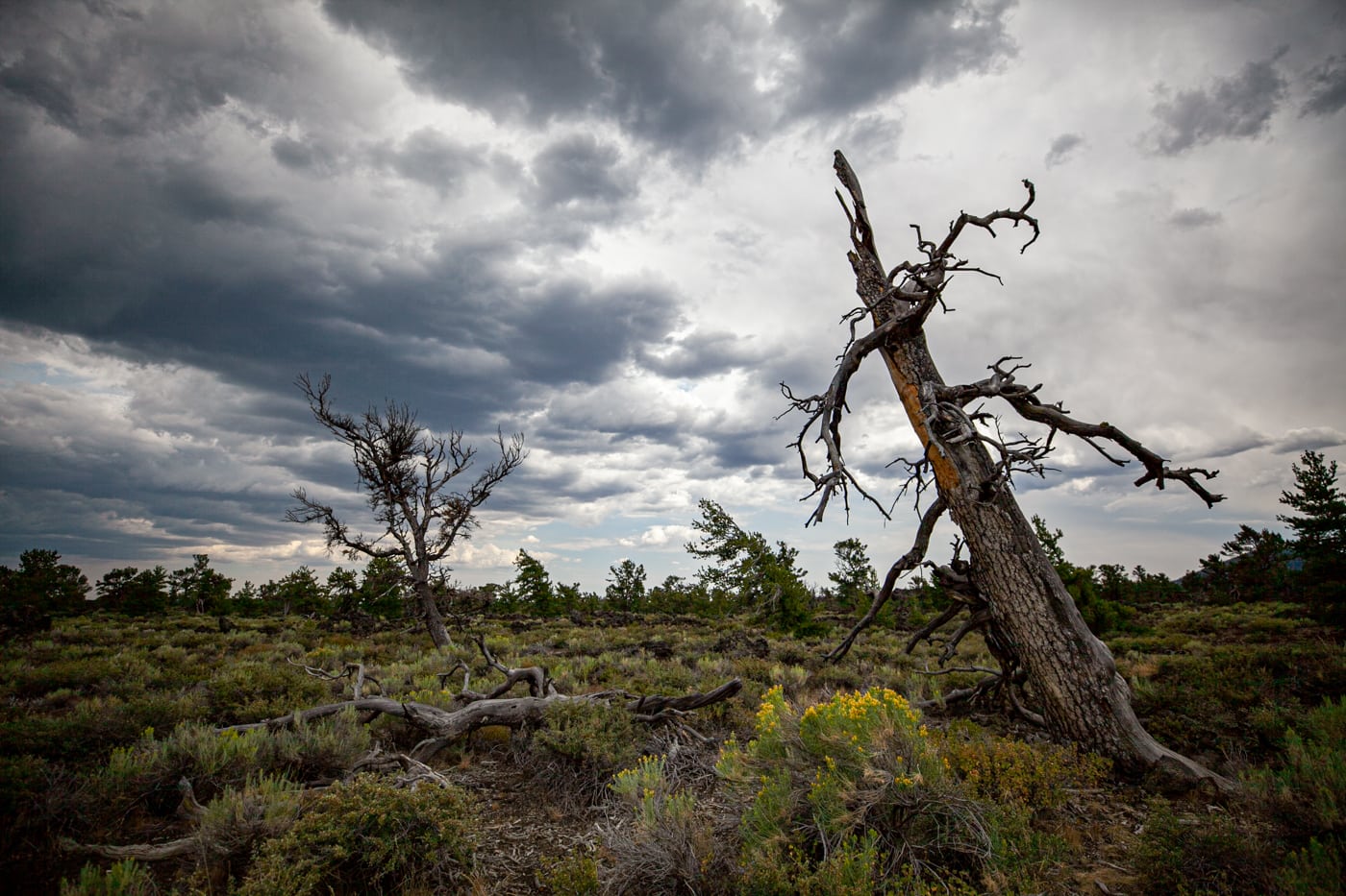 Craters of the Moon National Monument & Preserve in Idaho | Idaho Road Trip Stops