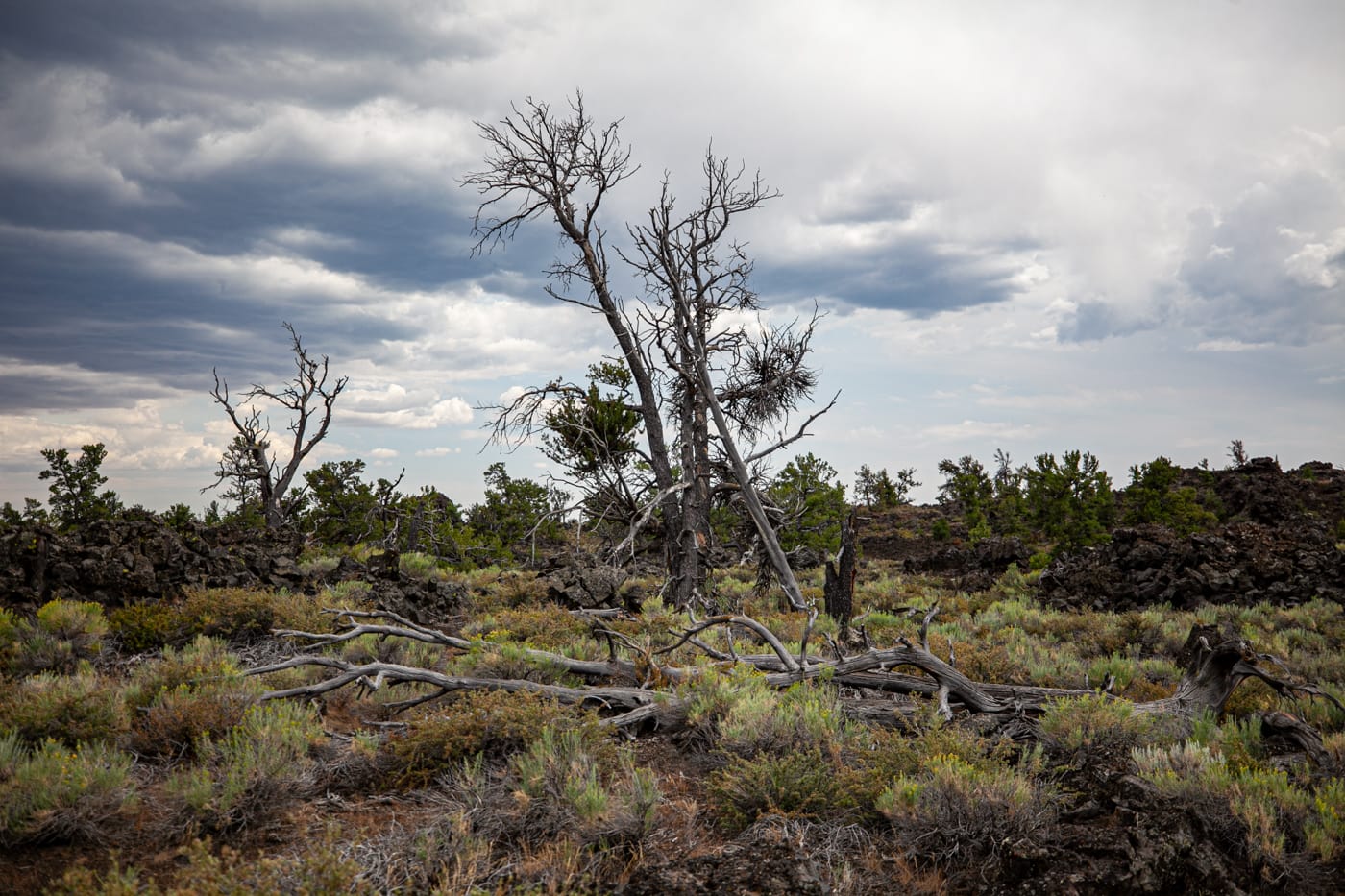 Craters of the Moon National Monument & Preserve in Idaho | Idaho Road Trip Stops