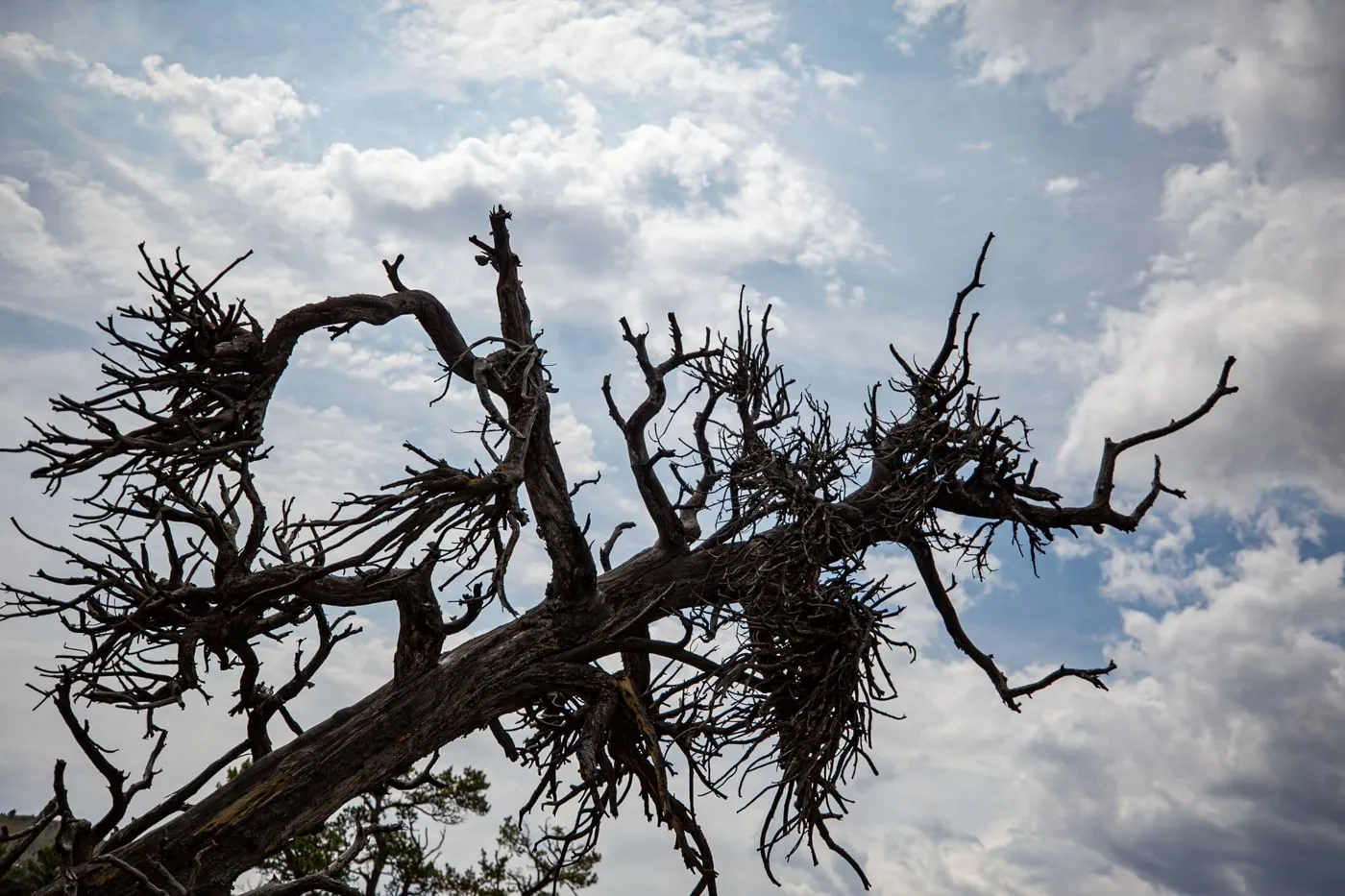 Craters of the Moon National Monument & Preserve in Idaho | Idaho Road Trip Stops