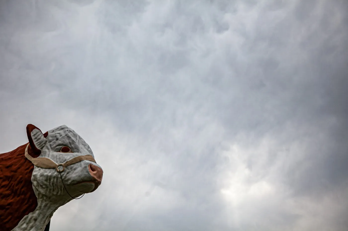 Giant Bull at the Eastern Montana Fairgrounds in Miles City Montana - Montana Roadside Attractions