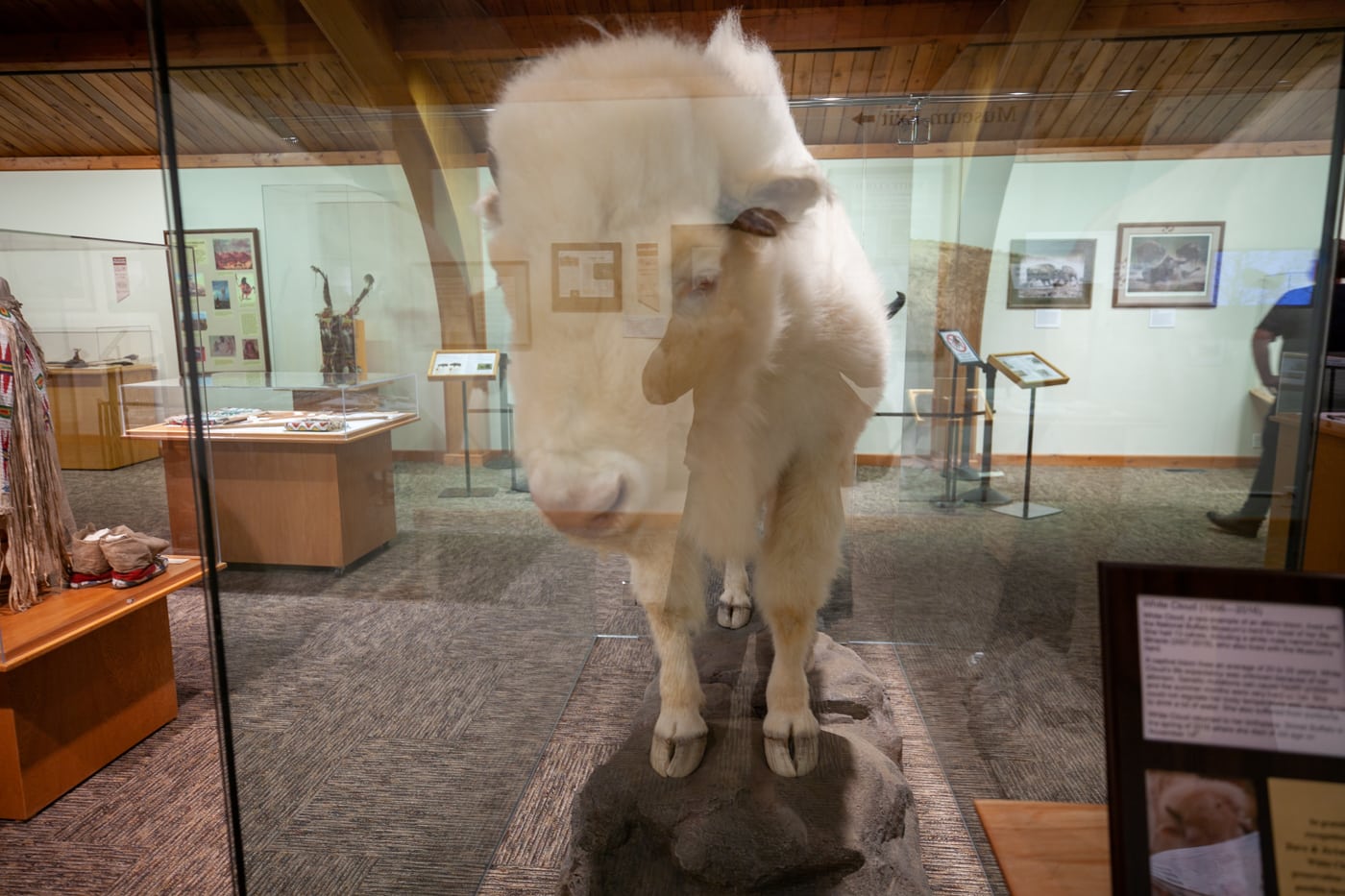 National Buffalo Museum in Jamestown, North Dakota