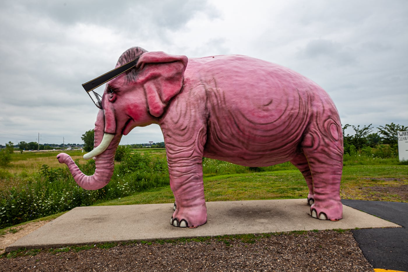 Pinkie the Pink Elephant in DeForest, Wisconsin. Giant Pink Elephant with Glasses roadside attraction in Wisconsin.