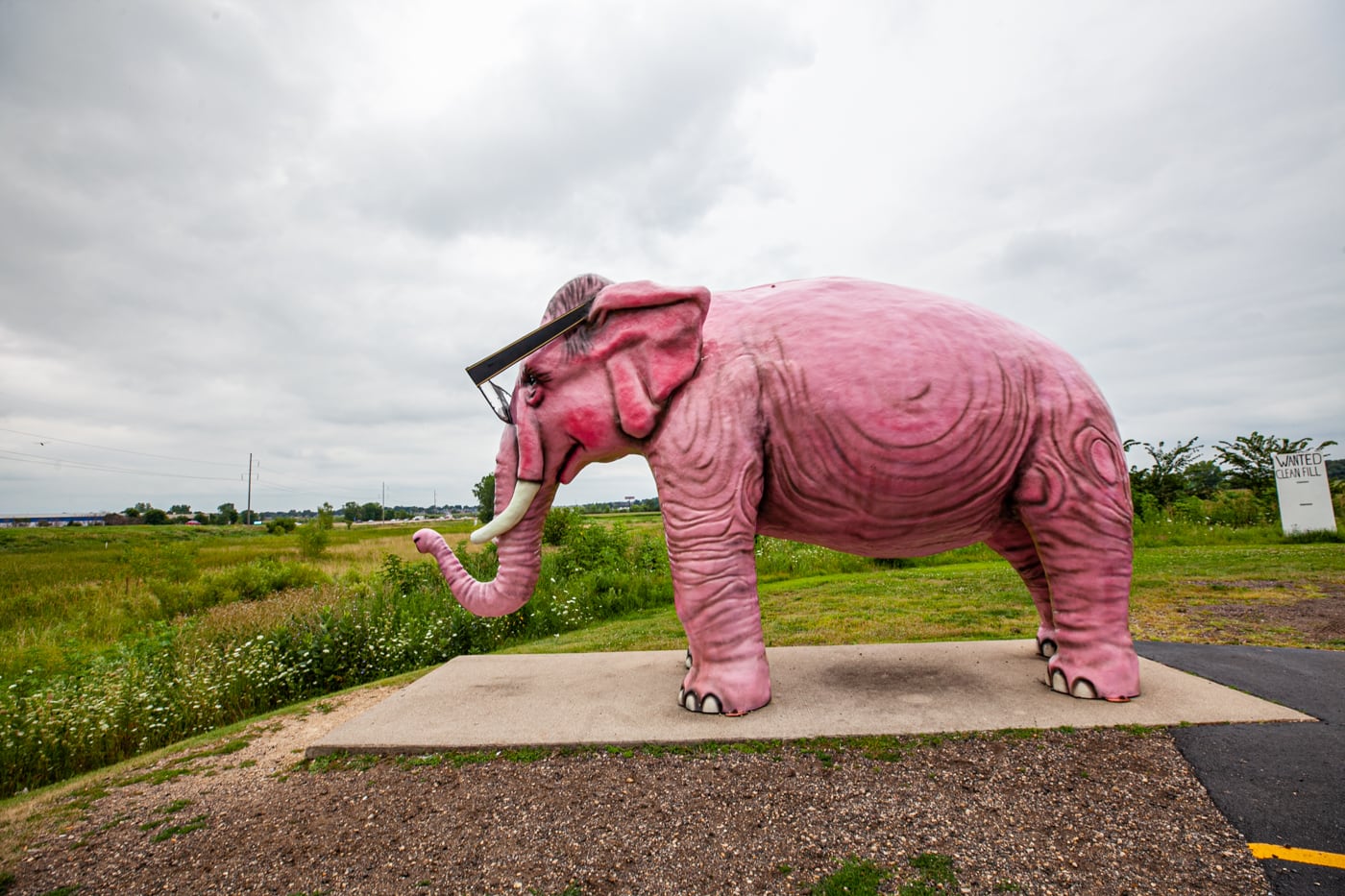 Pinkie the Pink Elephant in DeForest, Wisconsin. Giant Pink Elephant with Glasses roadside attraction in Wisconsin.