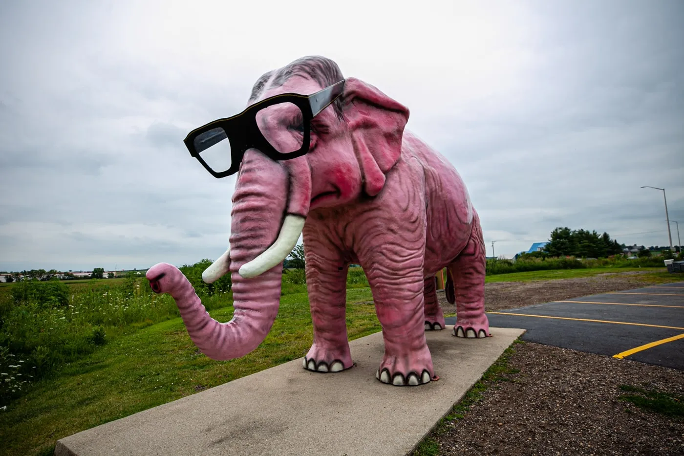 Pinkie the Pink Elephant in DeForest, Wisconsin. Giant Pink Elephant with Glasses roadside attraction in Wisconsin.