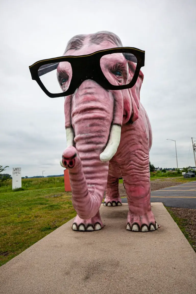 Pinkie the Pink Elephant with Glasses in DeForest, Wisconsin