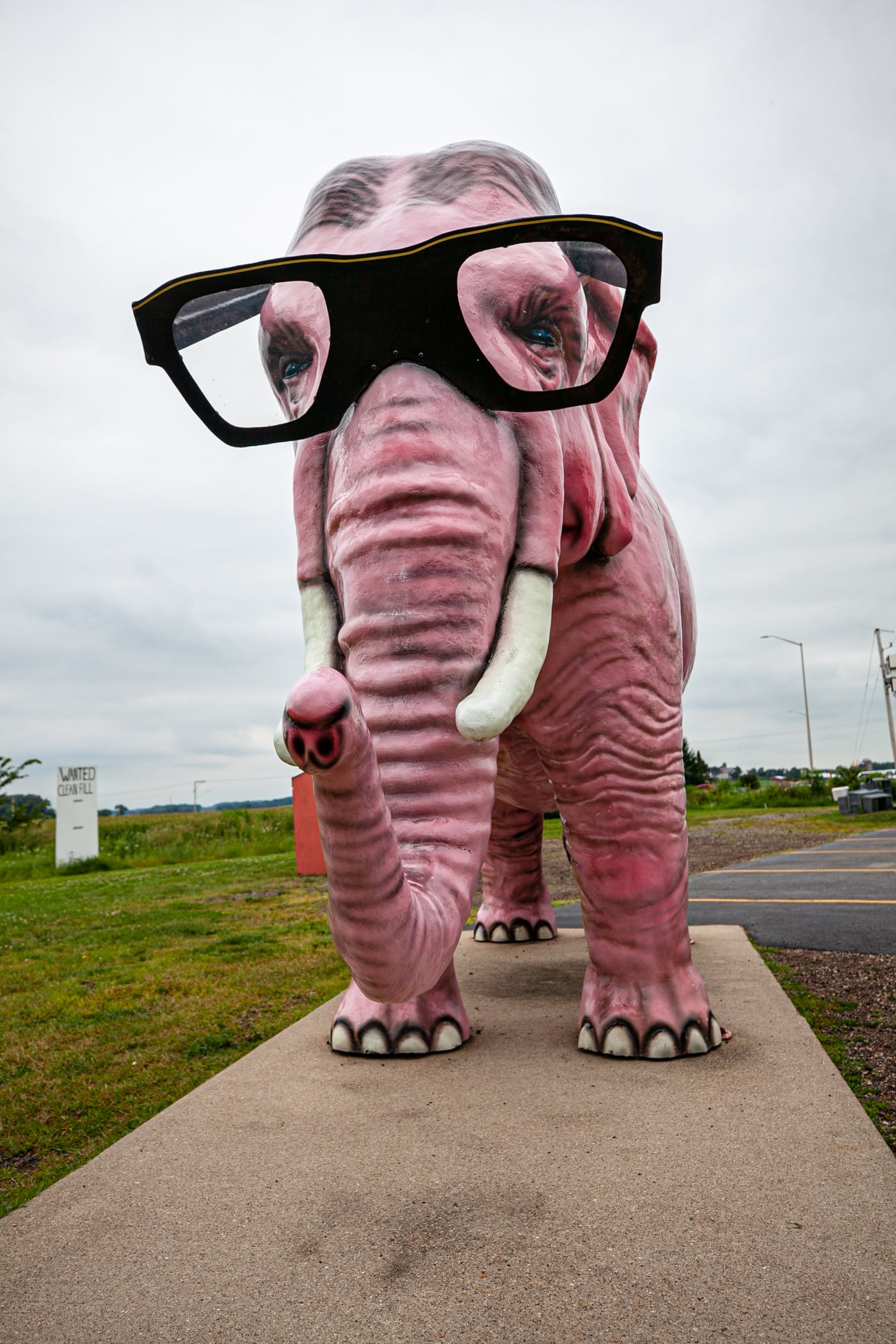 Pinkie the Pink Elephant in DeForest, Wisconsin. Giant Pink Elephant with Glasses roadside attraction in Wisconsin.