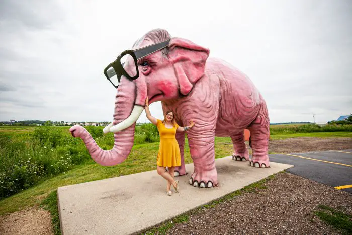 Pinkie the Pink Elephant in DeForest, Wisconsin. Giant Pink Elephant with Glasses roadside attraction in Wisconsin.