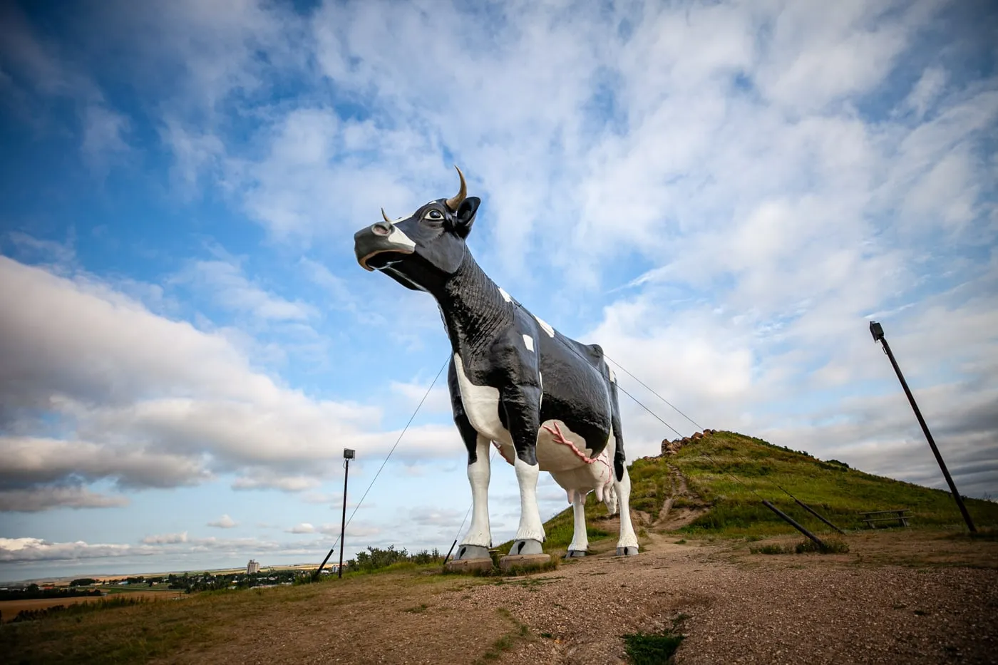 Salem Sue: The World's Largest Holstein Cow in New Salem, North Dakota | North Dakota Roadside Attractions