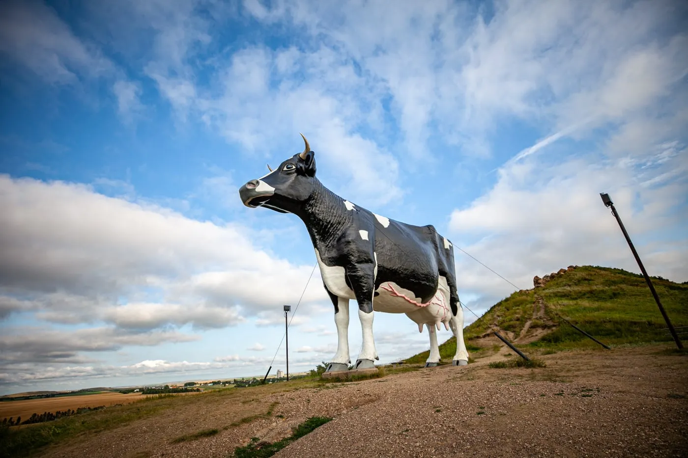 Salem Sue: The World's Largest Holstein Cow in New Salem, North Dakota | North Dakota Roadside Attractions