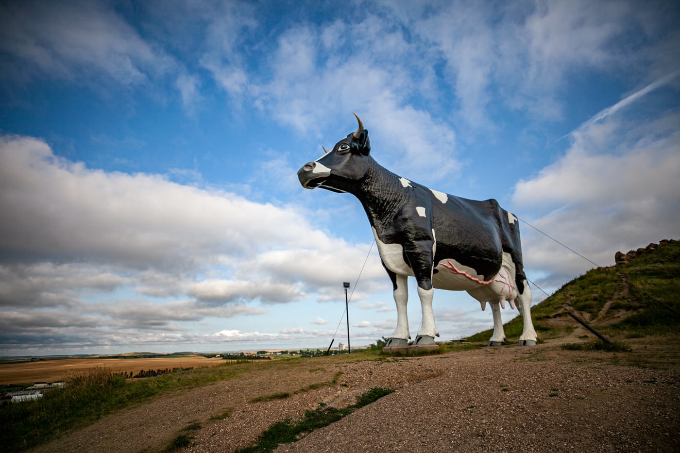 Salem Sue: The World's Largest Holstein Cow in New Salem, North Dakota | North Dakota Roadside Attractions