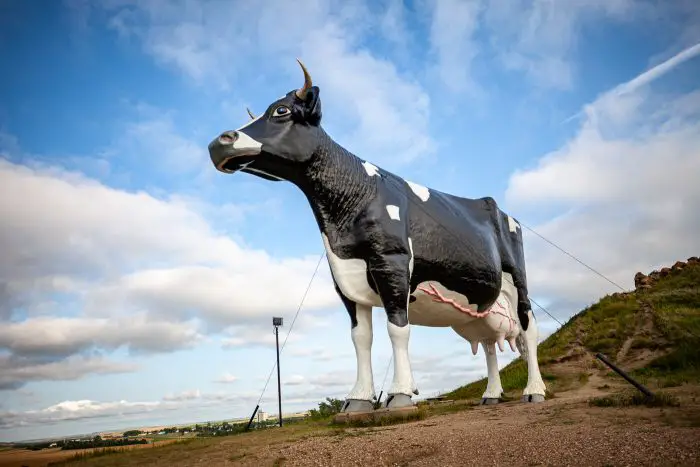 Salem Sue: The World's Largest Holstein Cow in New Salem, North Dakota | North Dakota Roadside Attractions