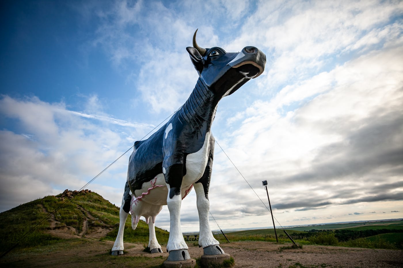 Salem Sue: The World's Largest Holstein Cow in New Salem, North Dakota | North Dakota Roadside Attractions