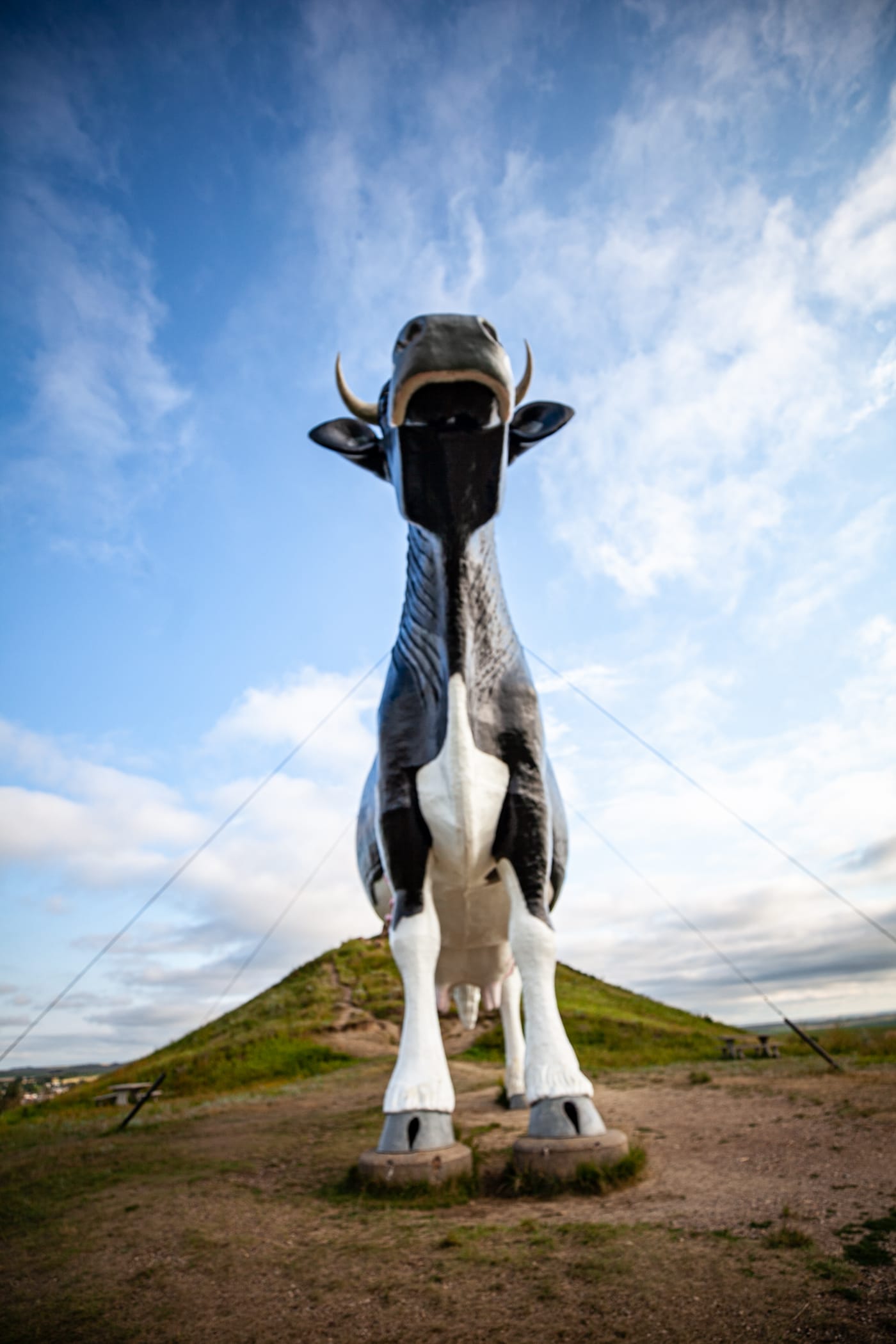 Salem Sue: The World's Largest Holstein Cow in New Salem, North Dakota | North Dakota Roadside Attractions