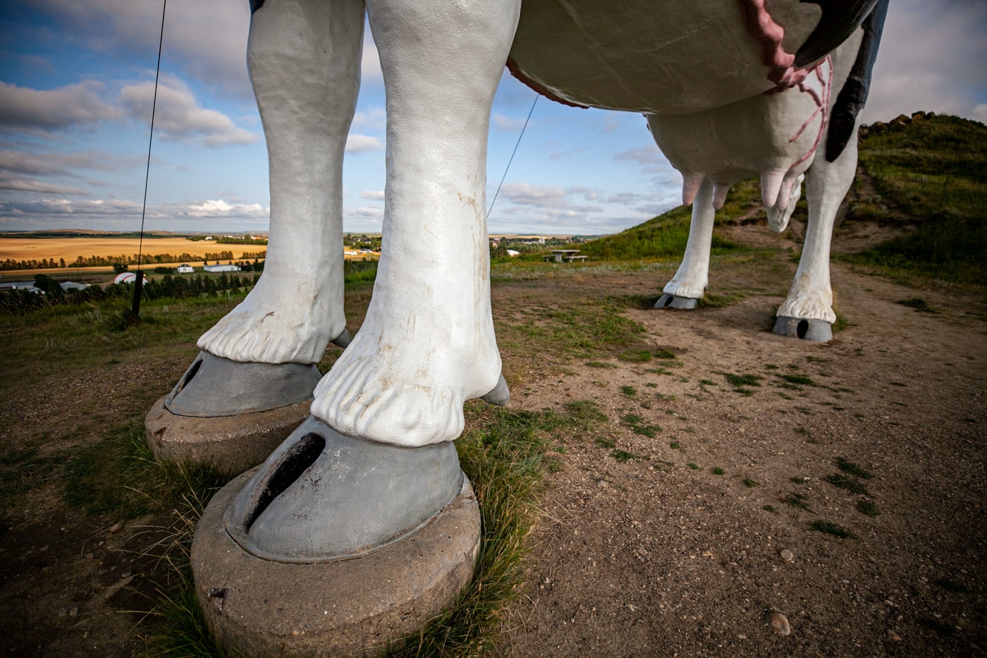 Salem Sue: The World's Largest Holstein Cow in New Salem, North Dakota | North Dakota Roadside Attractions