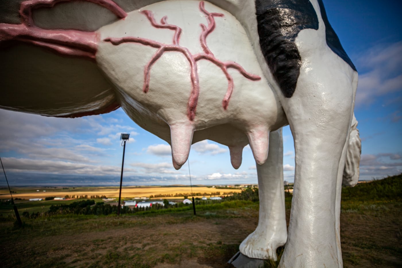 Salem Sue: The World's Largest Holstein Cow in New Salem, North Dakota | North Dakota Roadside Attractions