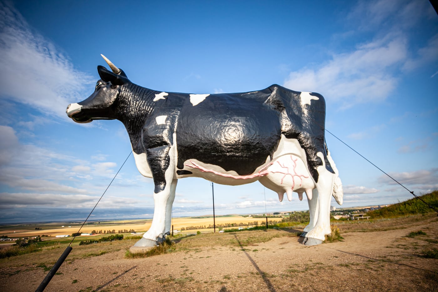 Salem Sue: The World's Largest Holstein Cow in New Salem, North Dakota | North Dakota Roadside Attractions