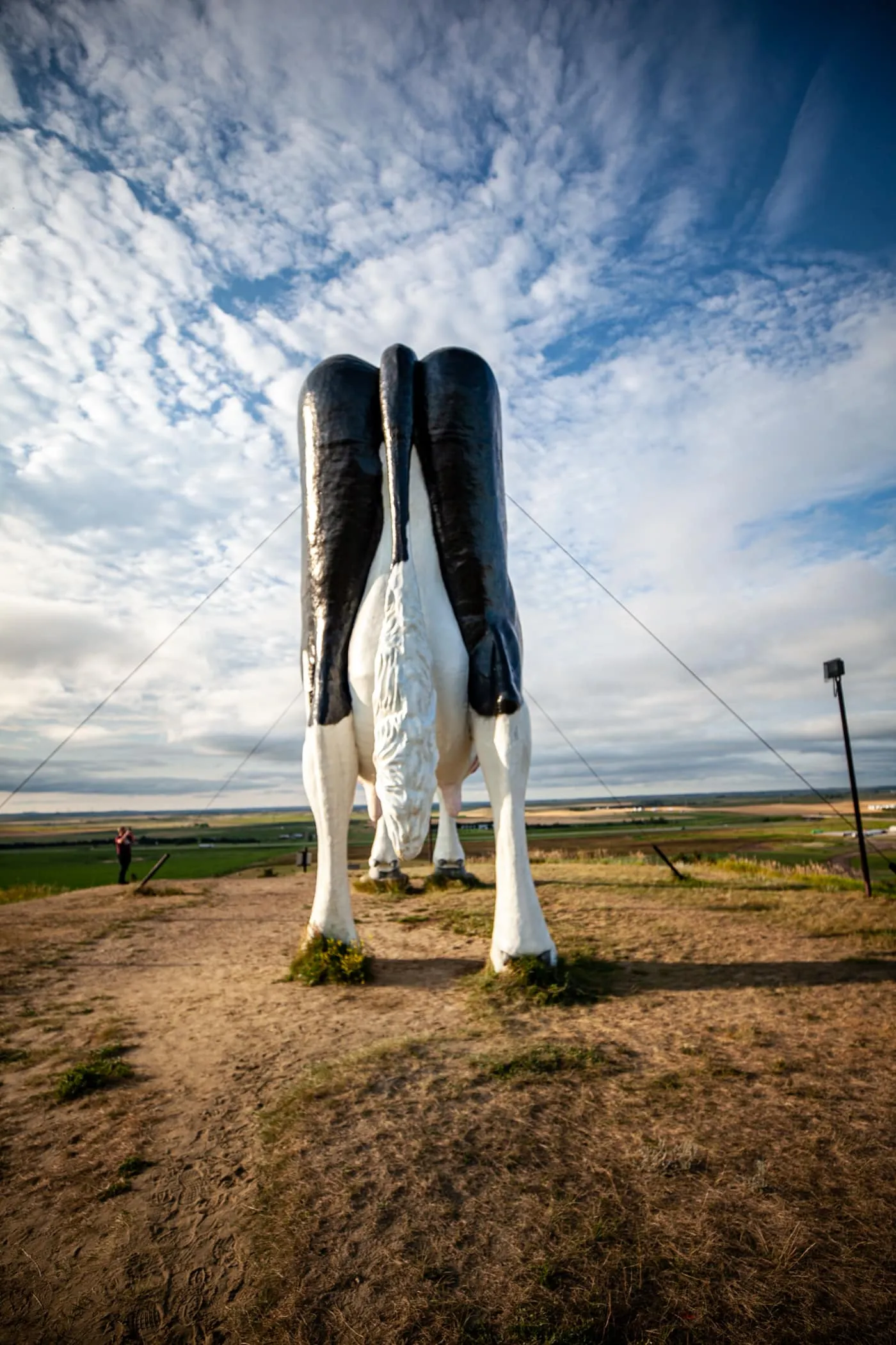 Salem Sue: The World's Largest Holstein Cow in New Salem, North Dakota | North Dakota Roadside Attractions