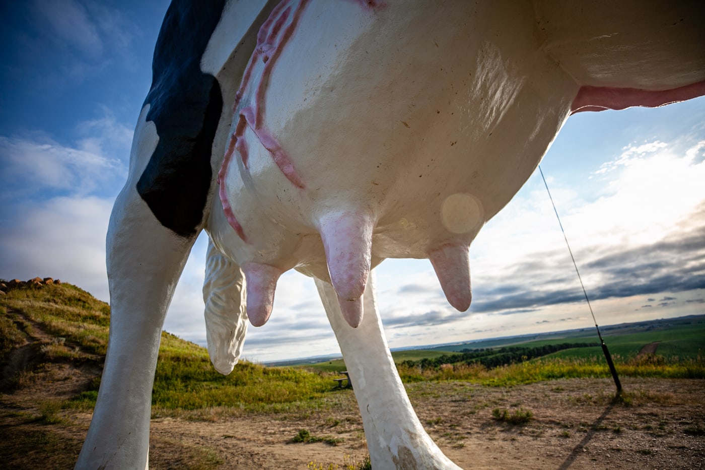 Salem Sue: The World's Largest Holstein Cow in New Salem, North Dakota | North Dakota Roadside Attractions