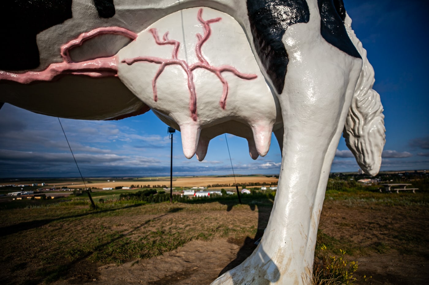 Salem Sue: The World's Largest Holstein Cow in New Salem, North Dakota | North Dakota Roadside Attractions