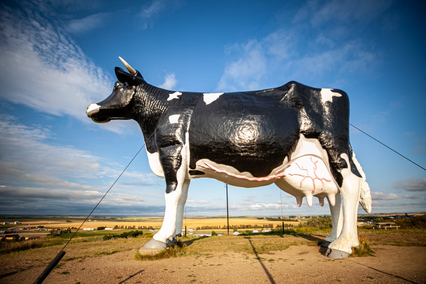 Salem Sue: The World's Largest Holstein Cow in New Salem, North Dakota | North Dakota Roadside Attractions