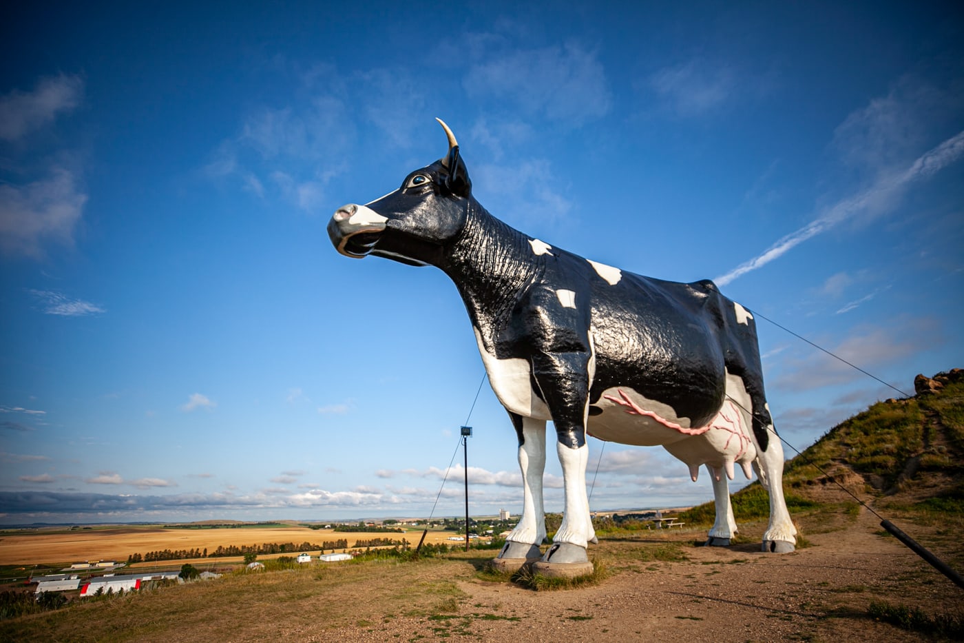 Salem Sue: The World's Largest Holstein Cow in New Salem, North Dakota | North Dakota Roadside Attractions