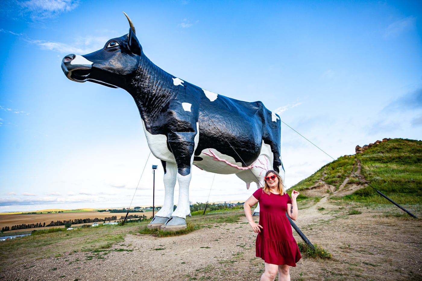 Salem Sue: The World's Largest Holstein Cow in New Salem, North Dakota | North Dakota Roadside Attractions