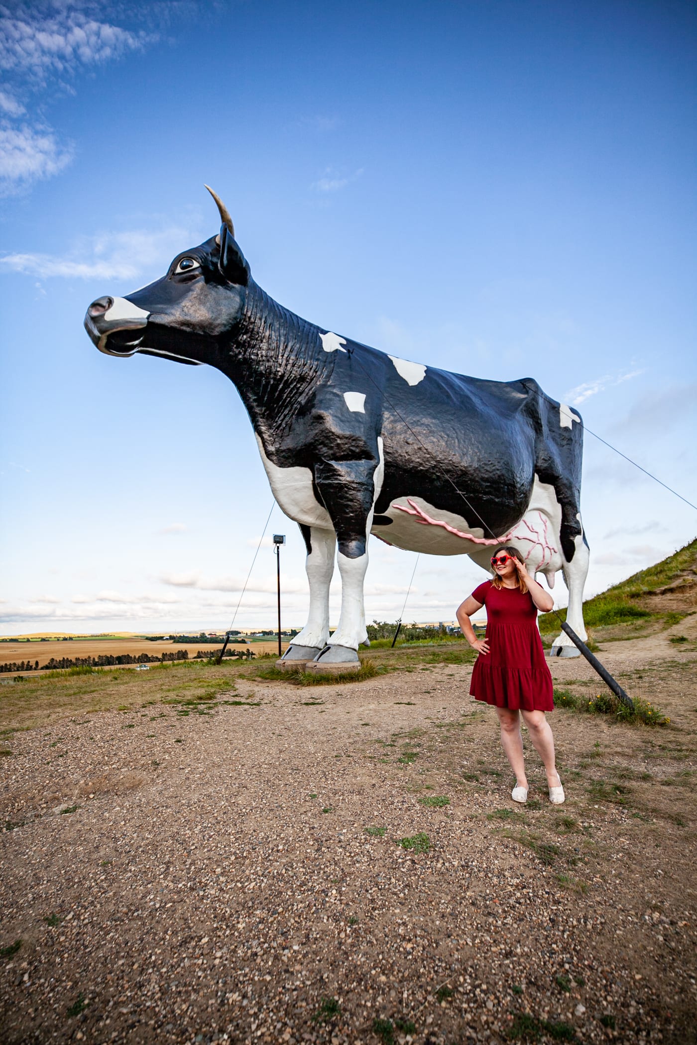 Salem Sue: The World's Largest Holstein Cow in New Salem, North Dakota | North Dakota Roadside Attractions