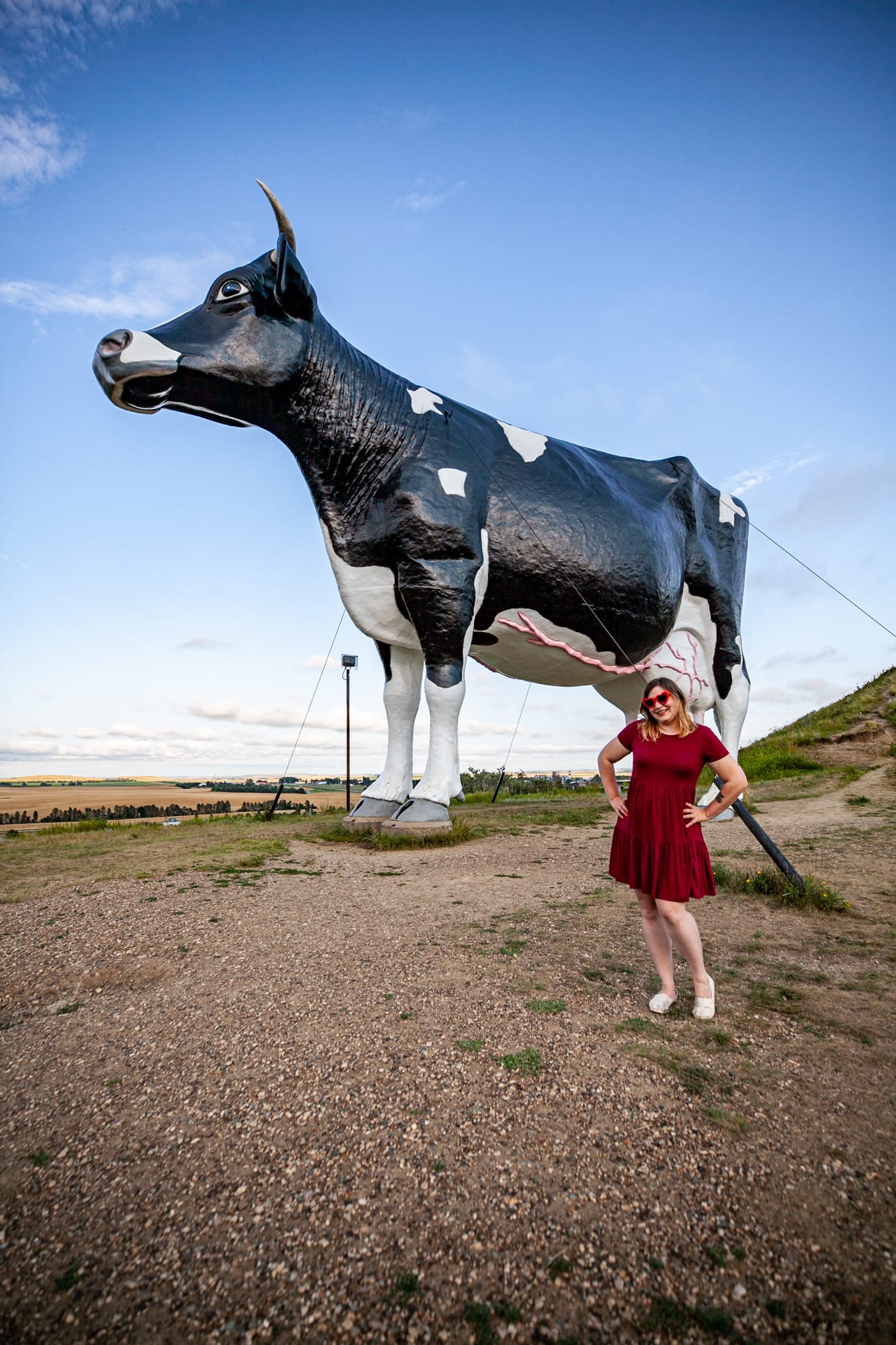 Salem Sue: The World's Largest Holstein Cow in New Salem, North Dakota | North Dakota Roadside Attractions