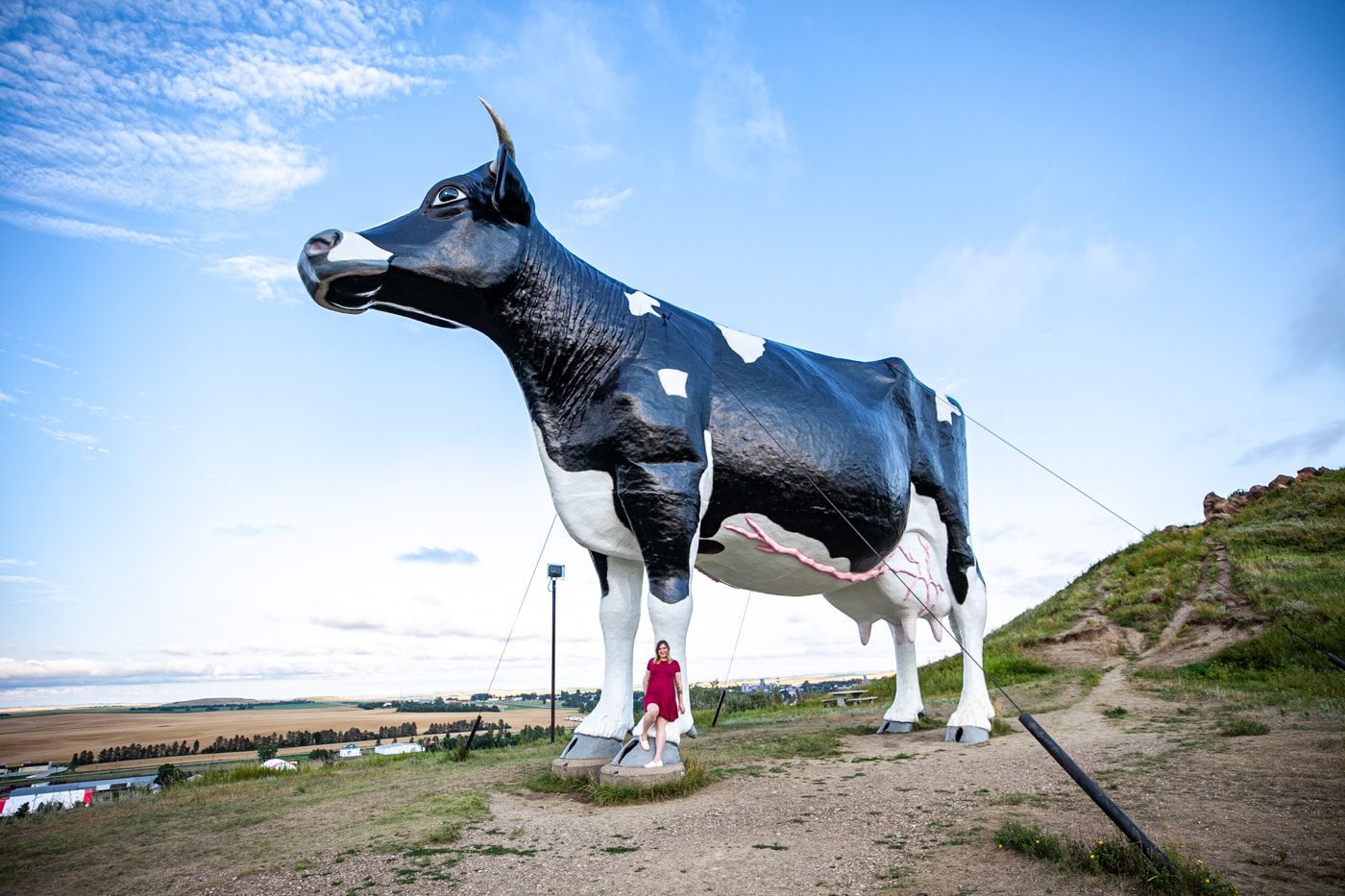 Salem Sue: The World's Largest Holstein Cow in New Salem, North Dakota | North Dakota Roadside Attractions