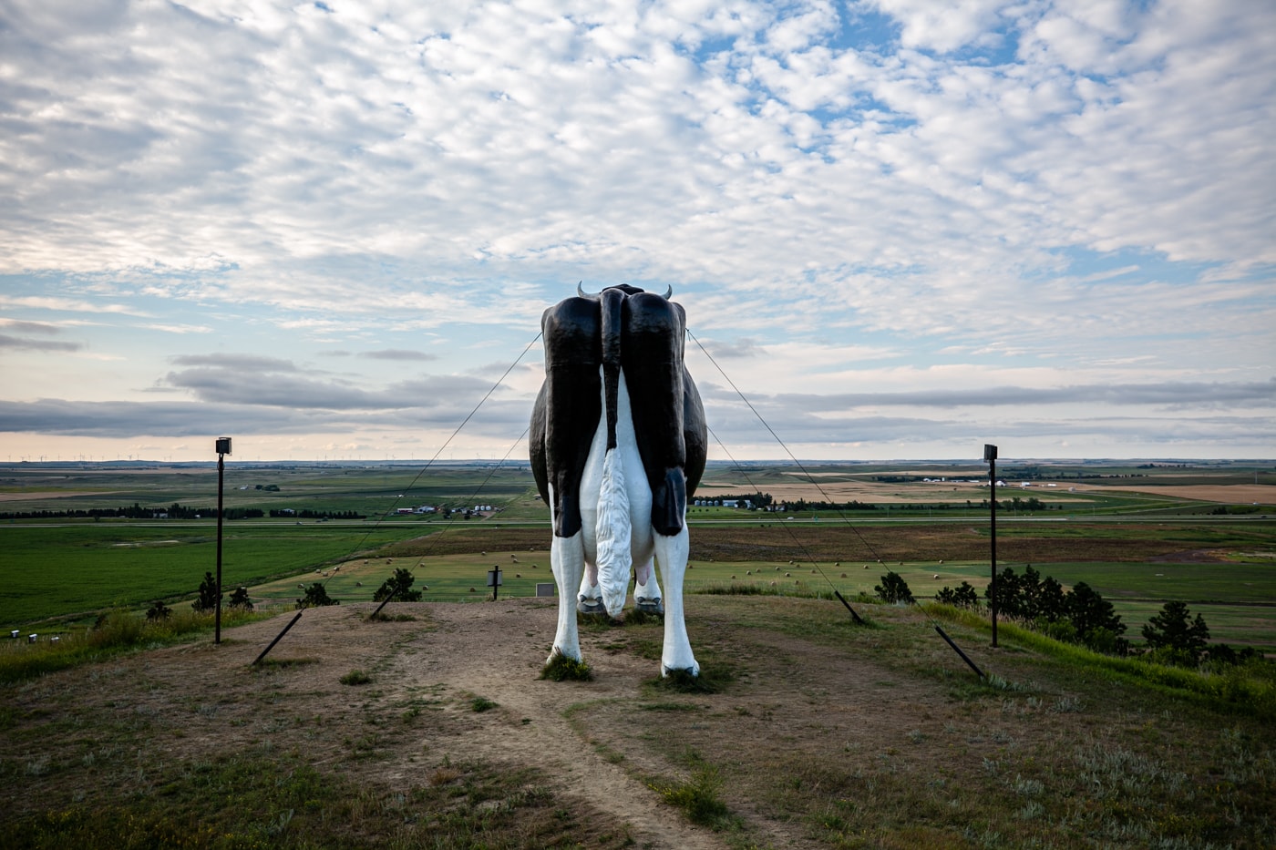 Salem Sue: The World's Largest Holstein Cow in New Salem, North Dakota | North Dakota Roadside Attractions