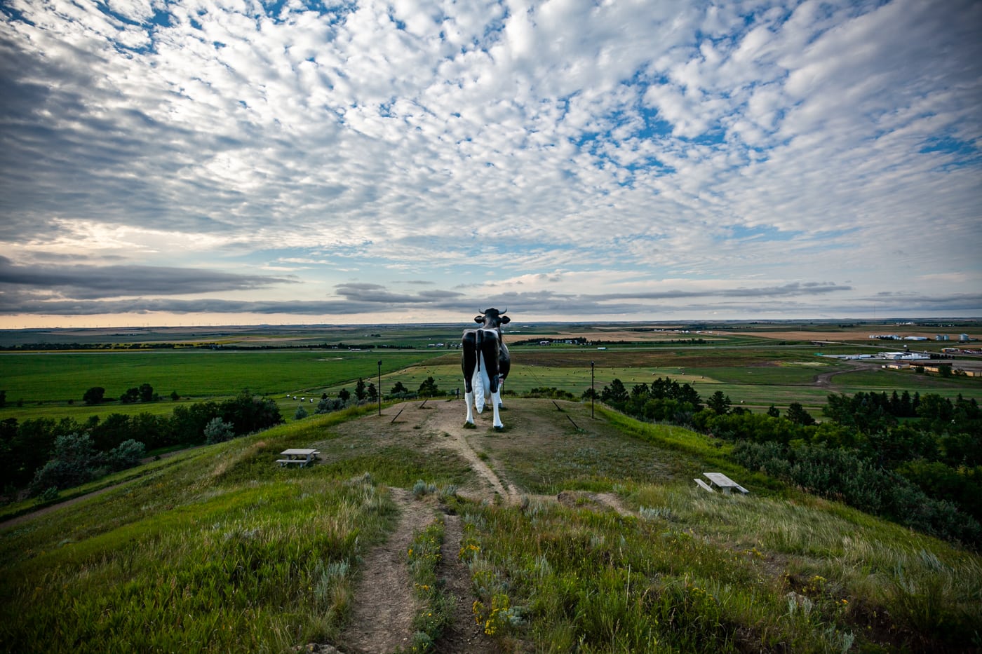 Salem Sue: The World's Largest Holstein Cow in New Salem, North Dakota | North Dakota Roadside Attractions