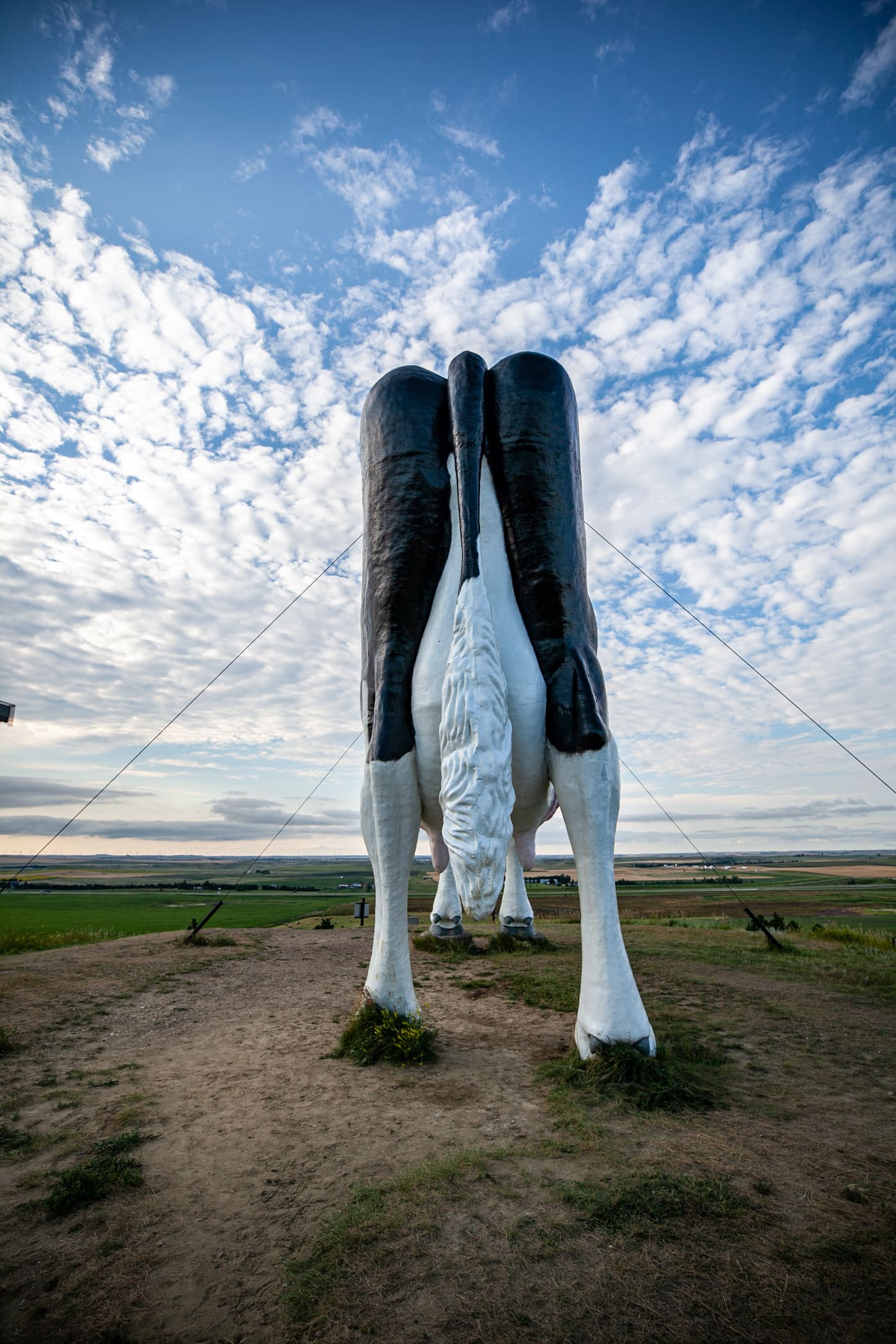 Salem Sue: The World's Largest Holstein Cow in New Salem, North Dakota | North Dakota Roadside Attractions