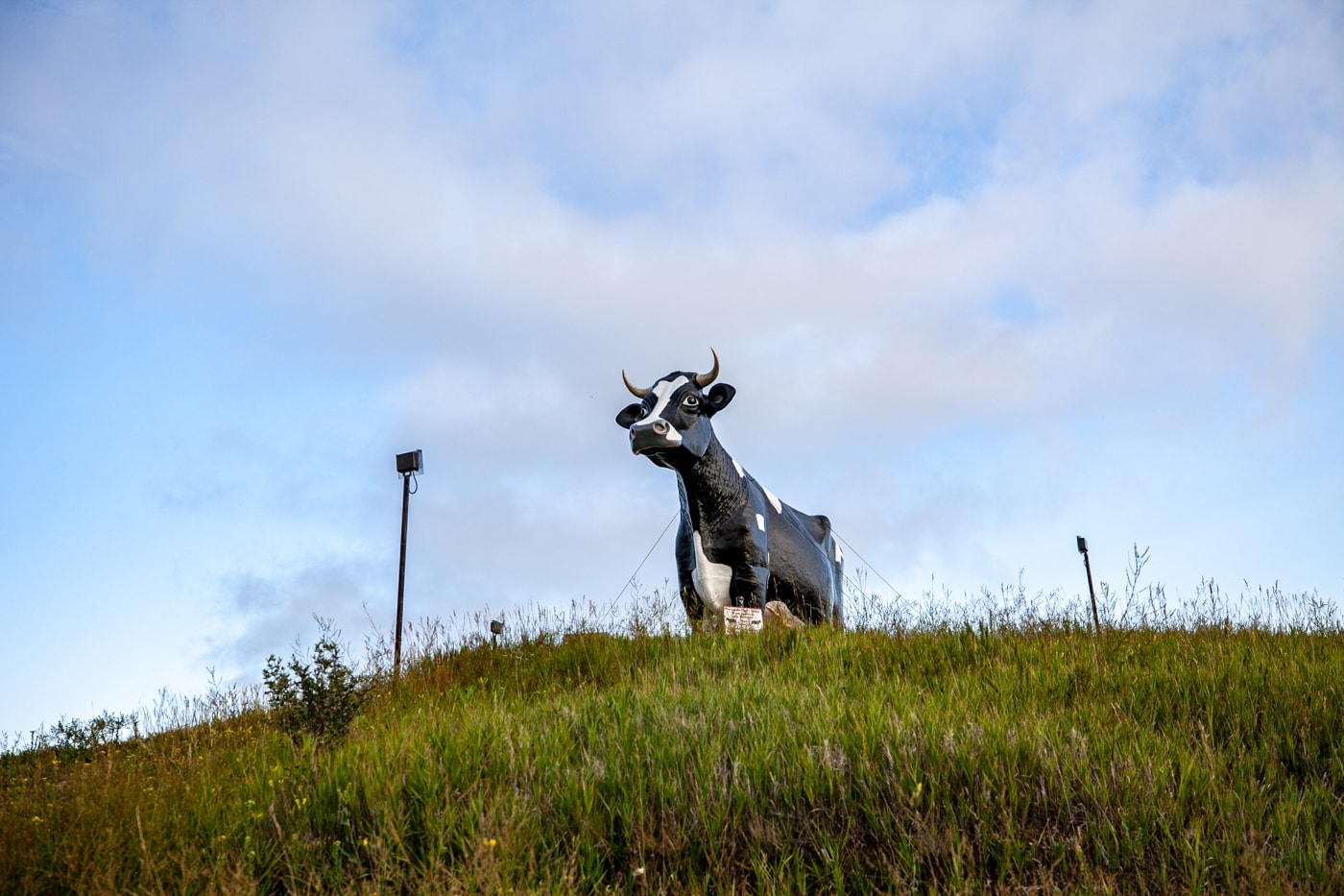 Salem Sue: The World's Largest Holstein Cow in New Salem, North Dakota | North Dakota Roadside Attractions