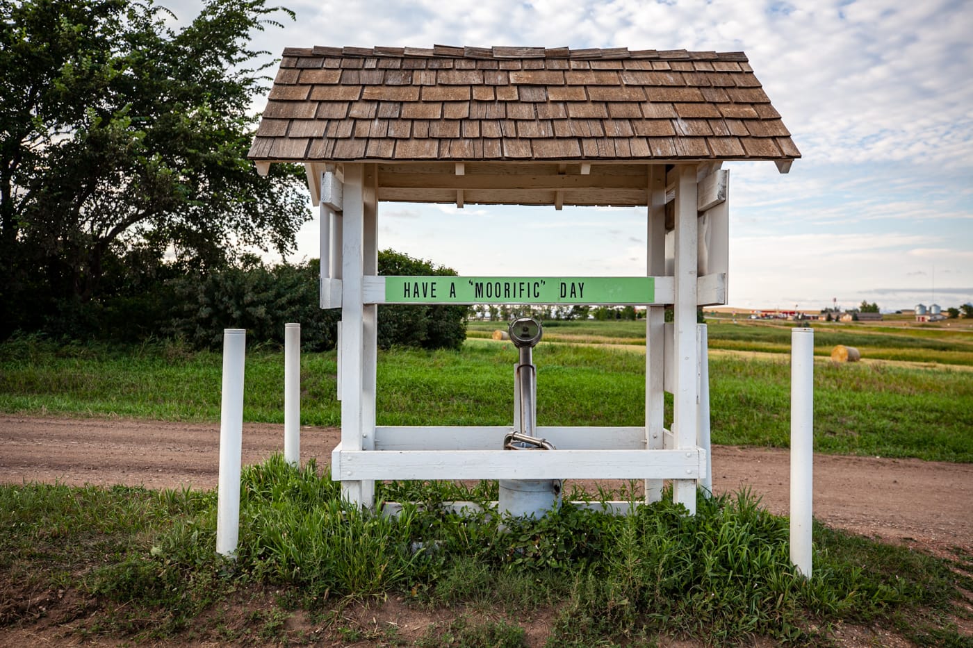 Salem Sue: The World's Largest Holstein Cow in New Salem, North Dakota | North Dakota Roadside Attractions