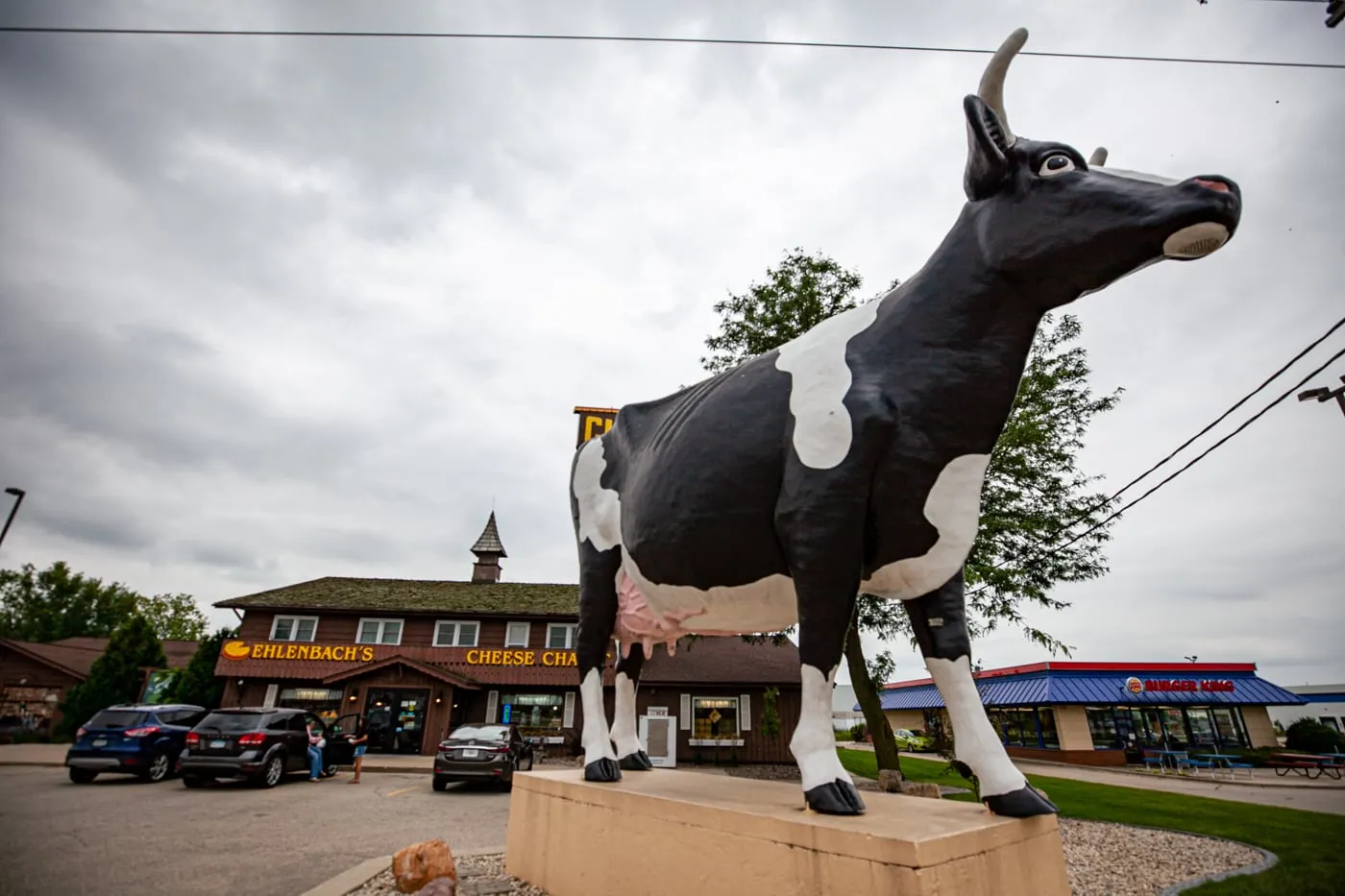 Sissy the Cow in DeForest, Wisconsin - Giant Fiberglass cow - roadside attractions in Wisconsin