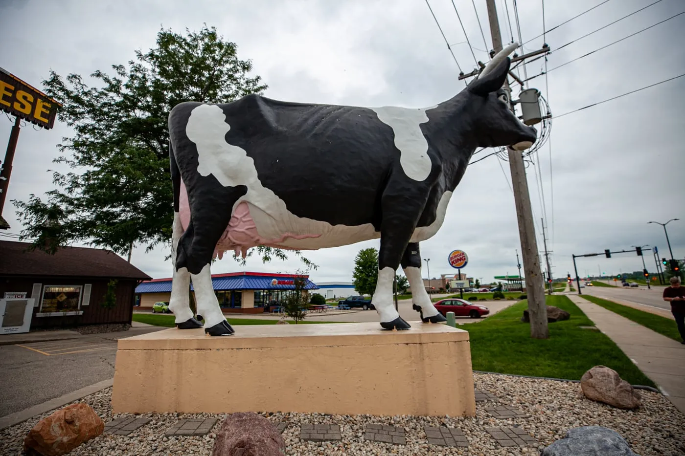 Sissy the Cow in DeForest, Wisconsin - Giant Fiberglass cow - roadside attractions in Wisconsin