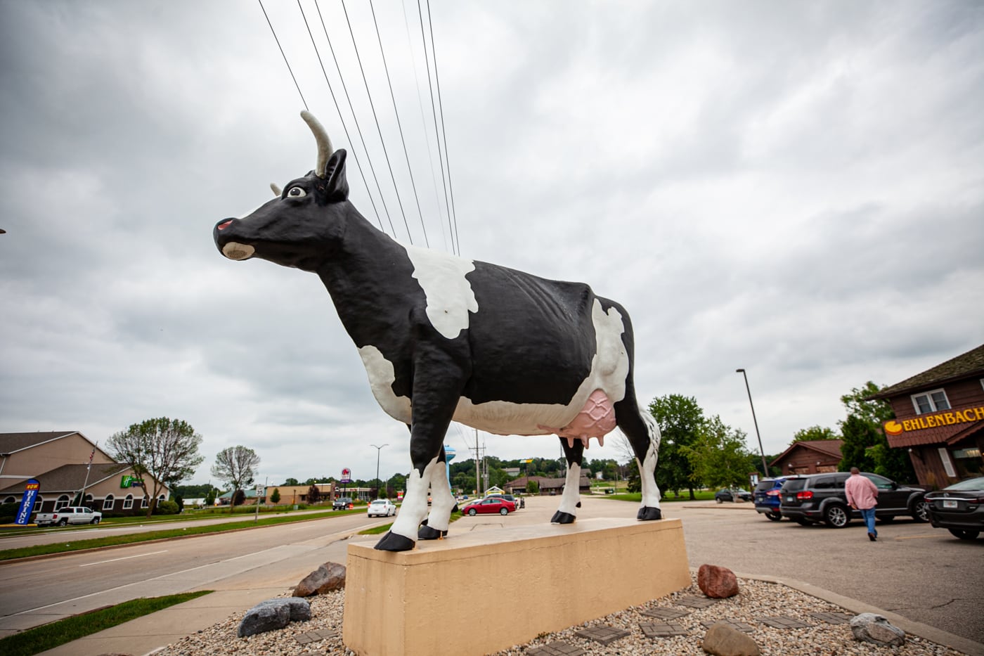 Sissy the Cow in DeForest, Wisconsin - Giant Fiberglass cow - roadside attractions in Wisconsin