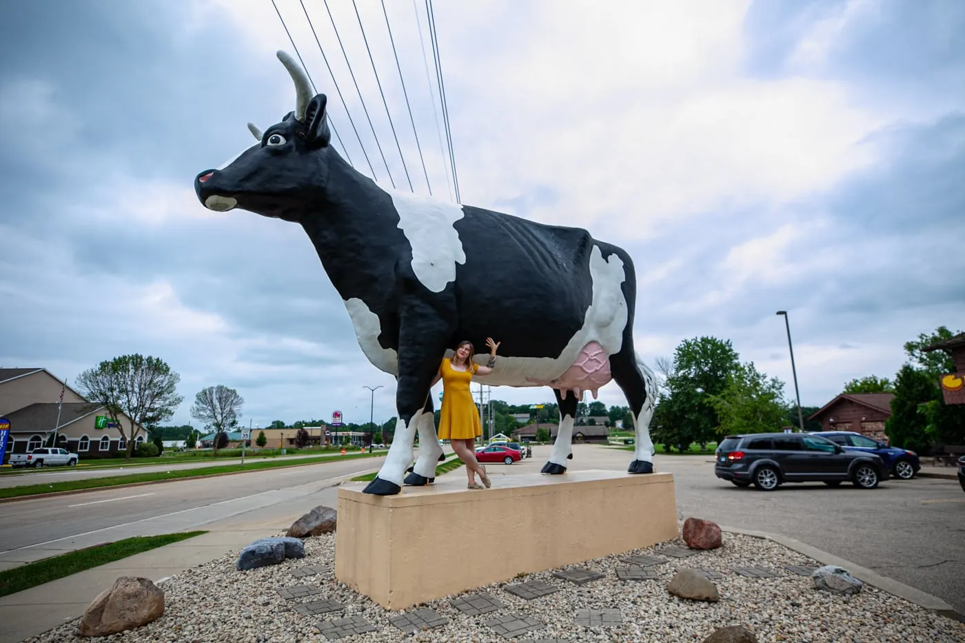 road trip cow game