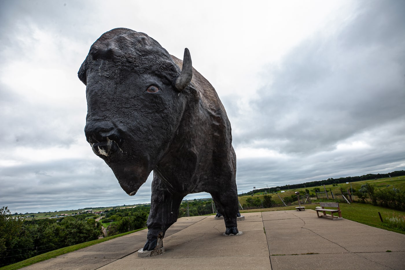 World's Largest Buffalo Monument in Jamestown, North Dakota | North Dakota Roadside Attractions